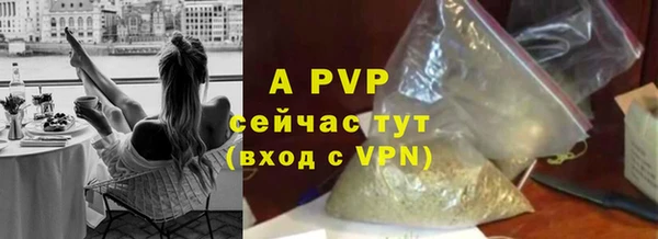 ECSTASY Белокуриха
