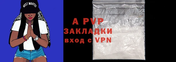 прущие крисы Богородицк