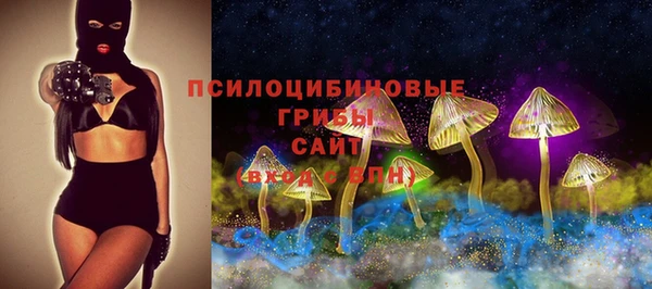 прущие крисы Богородицк