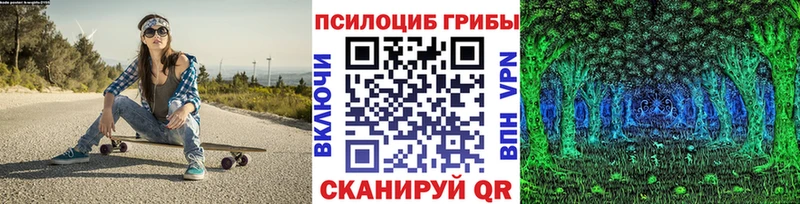 Псилоцибиновые грибы Psilocybine cubensis  закладка  Городовиковск 